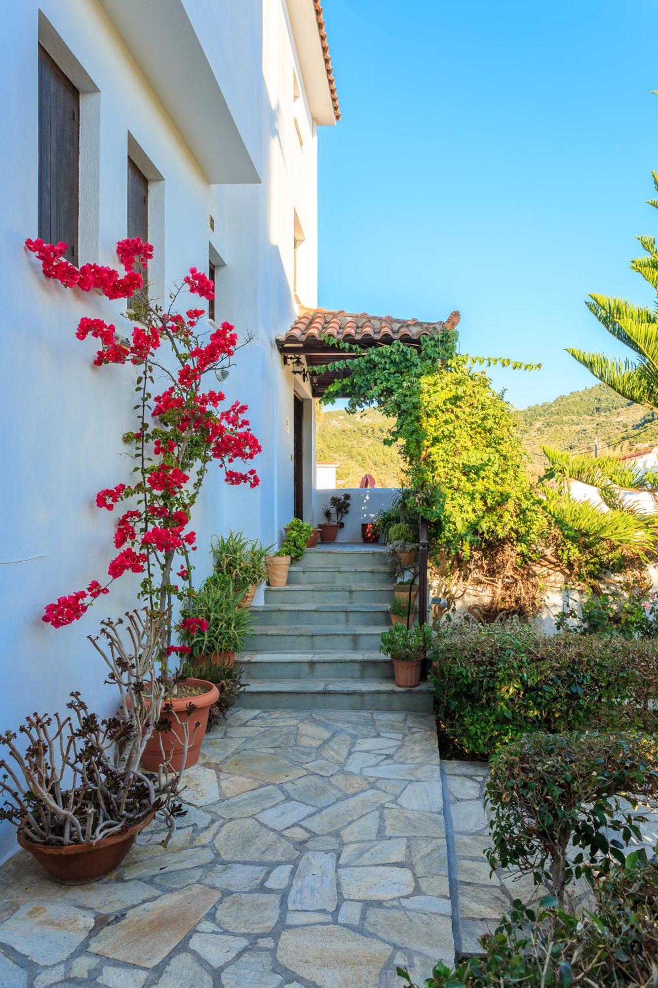 Nikolaos Studios Apartments Skópelos Eksteriør bilde