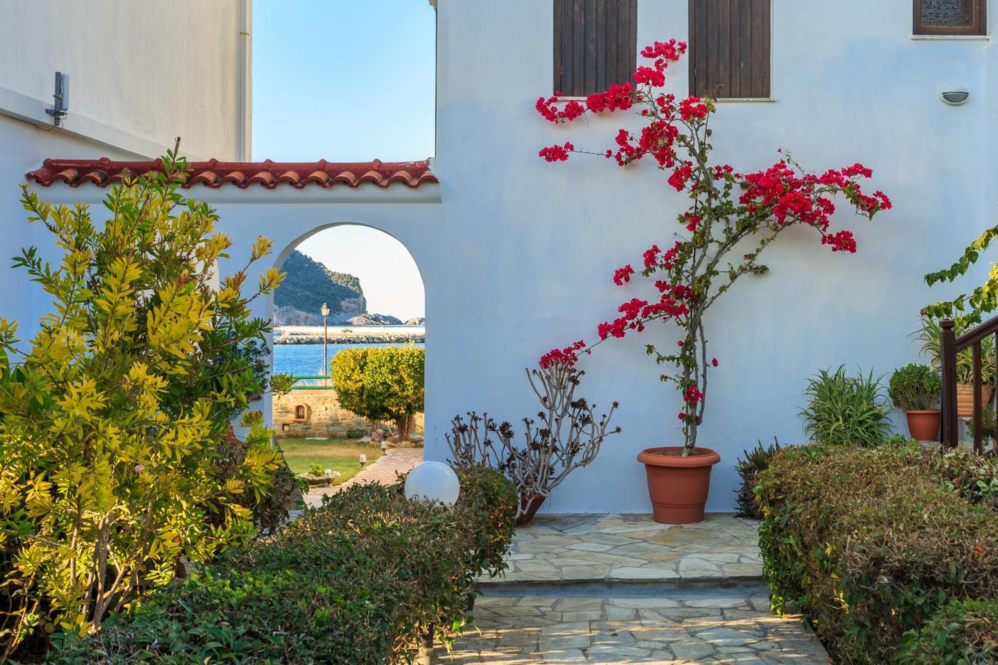 Nikolaos Studios Apartments Skópelos Eksteriør bilde