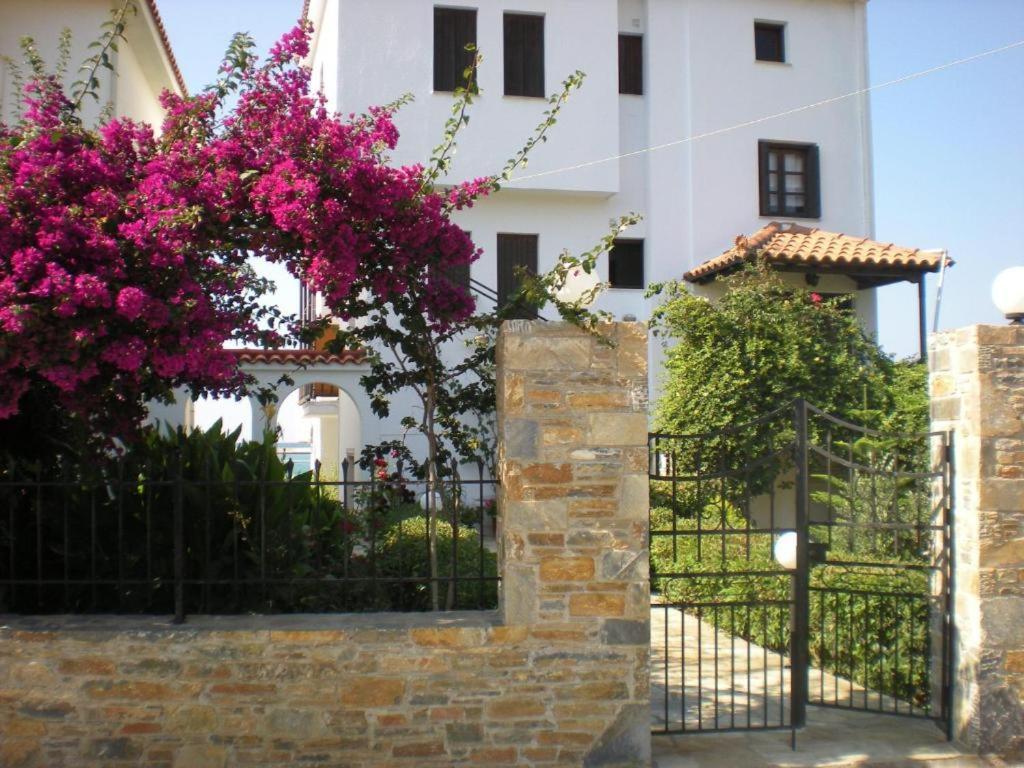 Nikolaos Studios Apartments Skópelos Eksteriør bilde