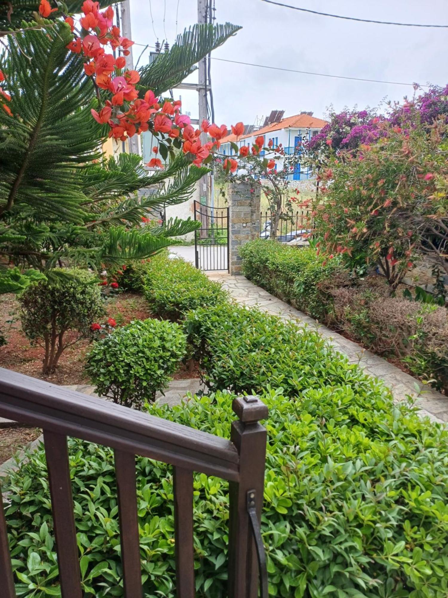 Nikolaos Studios Apartments Skópelos Eksteriør bilde