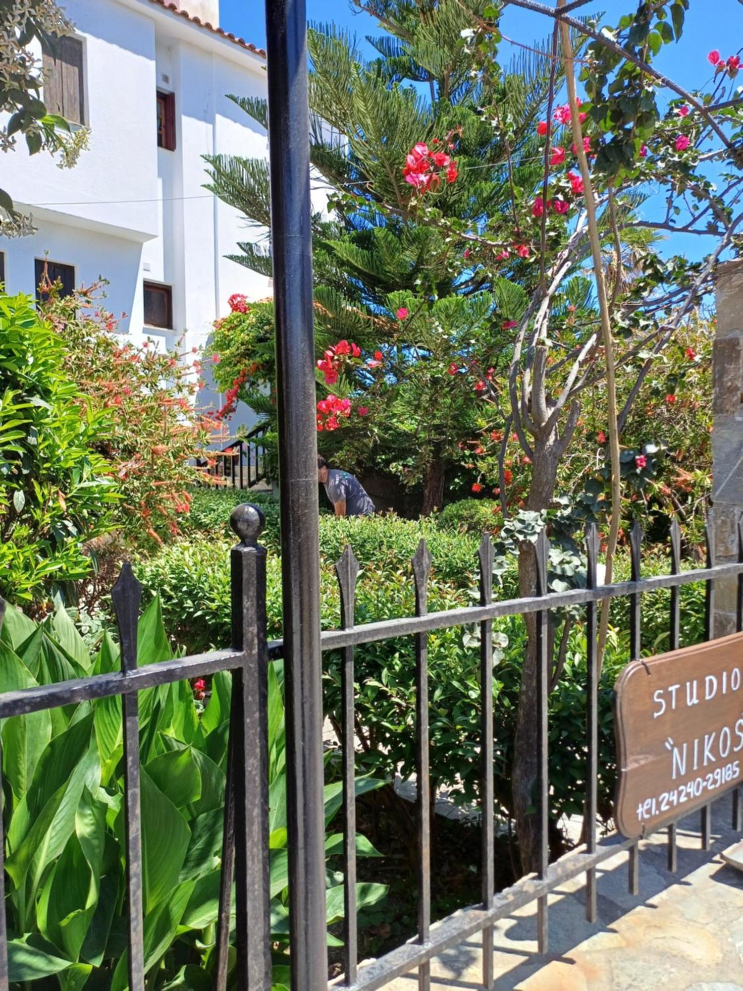 Nikolaos Studios Apartments Skópelos Eksteriør bilde