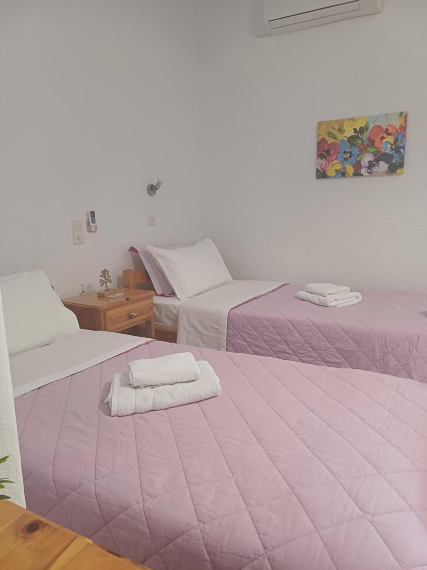 Nikolaos Studios Apartments Skópelos Eksteriør bilde